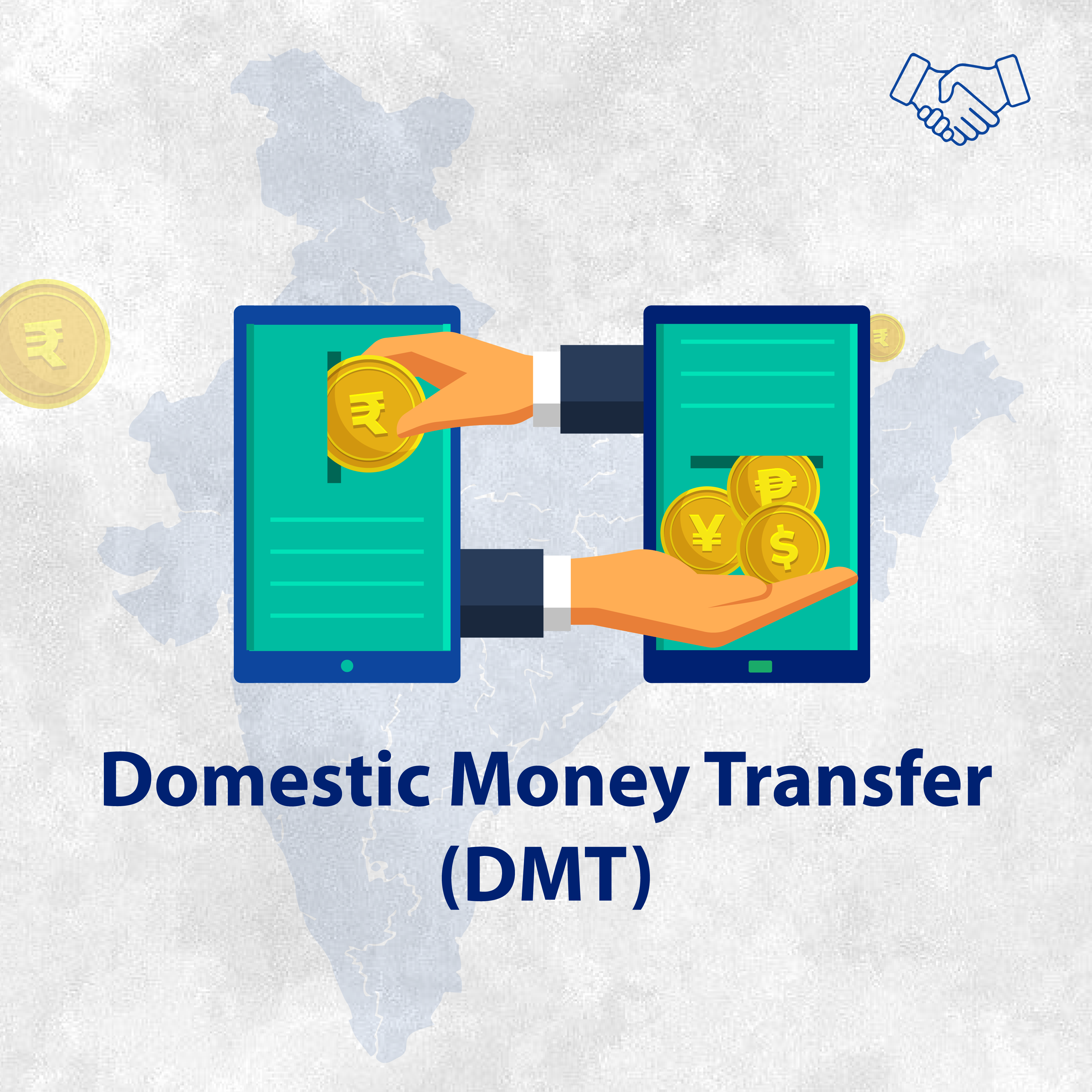Domestic Money Transfer (DMT)